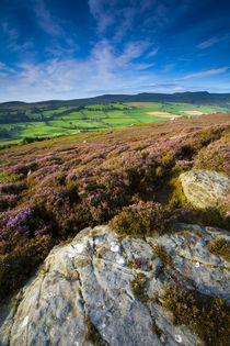 England, Northumberland, Rothbury. von Jason Friend