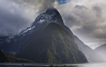 Neuseeland, Southland, Fjordland Nationalpark. von Jason Friend