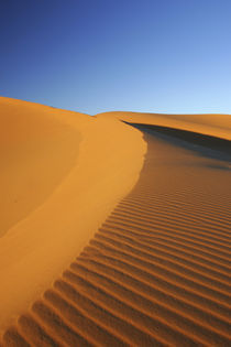  Morocco, Central Morocco, Merzouga by Jason Friend