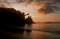  Neuseeland, Stewart Island, Bungaree Beach von Jason Friend