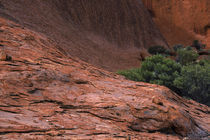  Australien, Northern Territory, Uluru National Park von Jason Friend