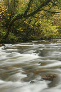  England, Cumbria, Lake District National Park by Jason Friend