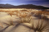  Neuseeland, Stewart Island, Smoky Beach von Jason Friend