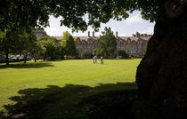 Croquette Game in New Square, Trinity College, Dublin, Ireland von Panoramic Images