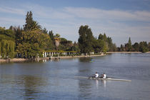 Tourist rowing a boat in a lake, General San Martin Park, Mendoza, Argentina by Panoramic Images