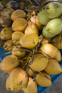Close-up of coconuts for sale, Grand Baie, Pamplemousses, Mauritius von Panoramic Images