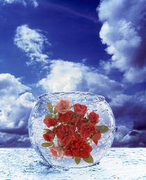 Crystal round vase filled with ice and red roses resting on seashore  von Panoramic Images