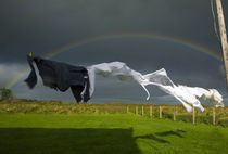 Rainbow, Stormy Sky and Clothes Line, Bunmahon, County Waterford, Ireland by Panoramic Images