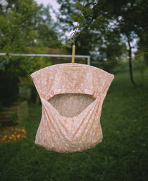 Clothespin container hanging from a clothesline, Baden-Wurttemberg, Germany von Panoramic Images