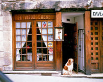 Entrance Paris France by Panoramic Images