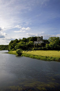 The Blackwater River and Castle, Ballyhooly, County Cork, Ireland by Panoramic Images