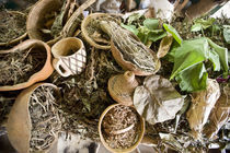 Close-up of natural herbs and healing plants von Panoramic Images