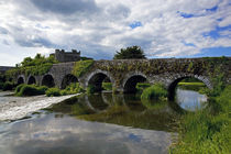 The 13 Arch Bridge over the River Funshion, Glanworth, County Cork, Ireland von Panoramic Images