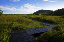 Preserved Bog Walkways, Fenor, Copper Coast, County Waterford, Ireland von Panoramic Images