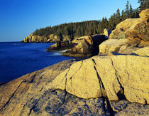 Mount Desert Island shoreline, Acadia National Park, Maine, USA. by Panoramic Images