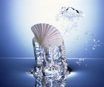 White scallop shell being raised on pillar of bubbling water von Panoramic Images