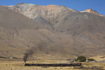 La Trochita narrow gauge steam train by Panoramic Images