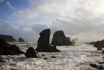 Ballydowane Beach, Copper Coast, County Waterford, Ireland von Panoramic Images