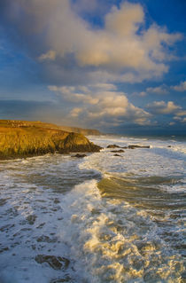 Stage Cove, Near Bunmahon, The Copper Coast, County Waterford, Ireland von Panoramic Images