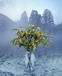 Bouquet of flowers in clear vase  von Panoramic Images