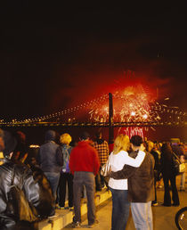 Rear view of a group of people watching a fireworks display von Panoramic Images