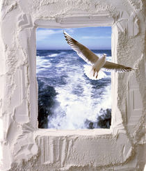 Dove flying toward camera through plaster frame with ocean waves in background by Panoramic Images