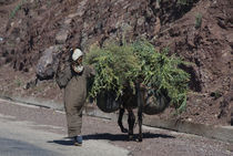 Rural woman and her donkey on the road in the High Atlas Mountains, Morocco by Panoramic Images