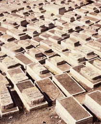 High angle view of a cemetery von Panoramic Images