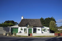 Traditional Thatched Cottage, Mooncoin, County Kilkenny, Ireland von Panoramic Images