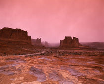 Rock formations on a landscape, Arches National Park, Utah, USA by Panoramic Images