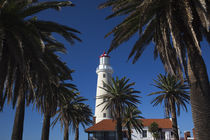 Palm trees in front of a lighthouse, Punta Del Este, Maldonado, Uruguay von Panoramic Images