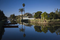 Homes along a canal, Venice, Los Angeles, California, USA von Panoramic Images