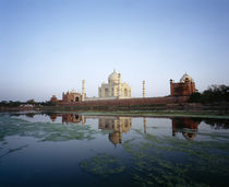 Taj Mahal reflected in the Yamuna River, Agra, Rajasthan, India von Panoramic Images