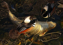 Ducks Over Koi 1 von Eye in Hand Gallery