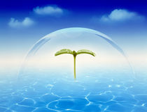 Leaf sprig floating under clear dome above rippling water clouds in blue sky von Panoramic Images