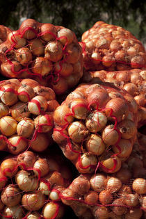 Close-up of sack of onions by Panoramic Images