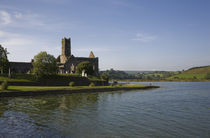 14th Century Timoleague Abbey, Timoleague, County Cork, Ireland by Panoramic Images