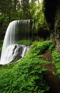 Lush foliage growing around Middle Falls by Panoramic Images