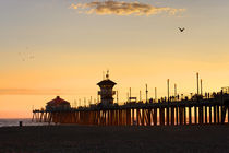 Birds at Sunset - Huntington Beach, California by Eye in Hand Gallery