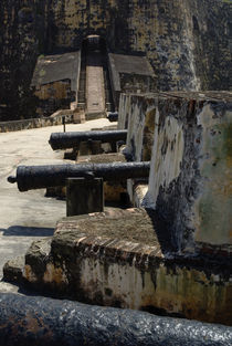 Cannons Of The Sant Barbara Battery by Panoramic Images