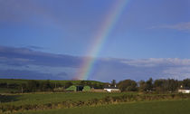 Rainbow over Farm, Near Ballydowane, The Copper Coast, County Waterford, Ireland von Panoramic Images