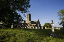 14th Century Timoleague Abbey, Timoleague, County Cork, Ireland von Panoramic Images