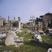 Old ruins in a city, Roman Forum, Rome, Italy by Panoramic Images