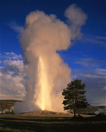 USA Wyoming Yellowstone National Park von Panoramic Images