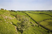 Drumlin Landscape, From Roche Castle, County Louth, Ireland von Panoramic Images