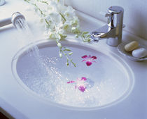 Close up of white porcelain sink bowl with orchids floating in water by Panoramic Images