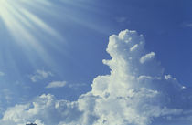 Cumulus clouds in the sky von Panoramic Images