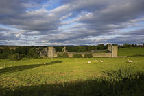 15th Century Walls around Augustinian Monestary, Kells, County Kilkenny, Ireland by Panoramic Images
