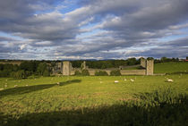 15th Century Walls around Augustinian Monestary, Kells, County Kilkenny, Ireland von Panoramic Images