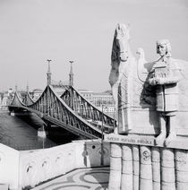 Bridge across a river, Liberty Bridge, Danube River, Budapest, Hungary von Panoramic Images
